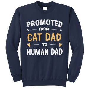 Funny New Daddy Cat Lover Promoted From Cat Dad To Human Dad Sweatshirt