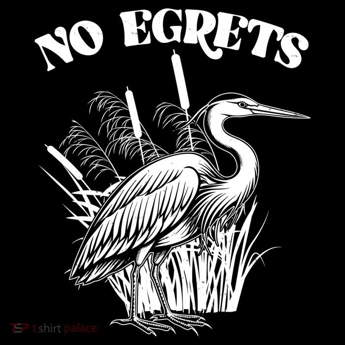 Funny No Egrets No Regrets Bird Pun Sweatshirt