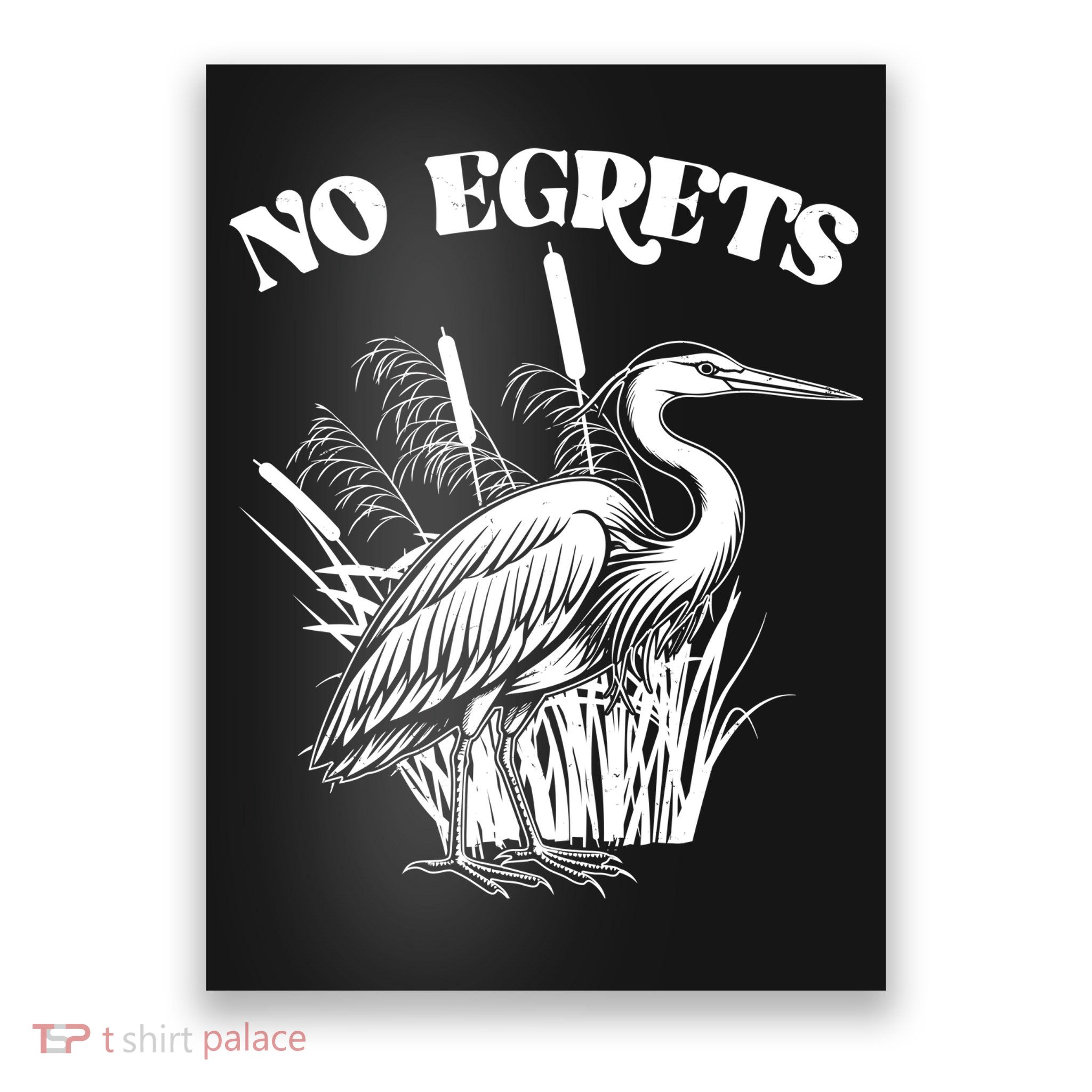 Funny No Egrets No Regrets Bird Pun Poster