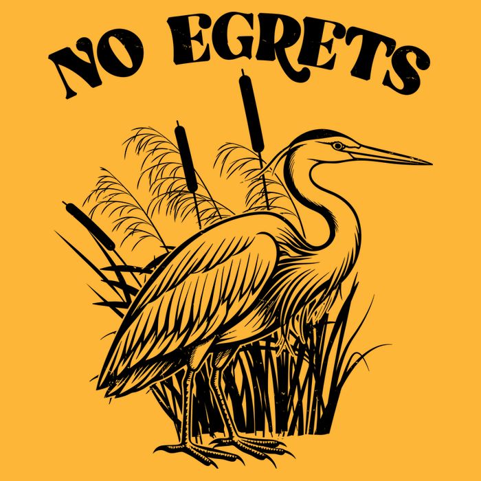 Funny No Egrets No Regrets Bird Pun Premium T-Shirt