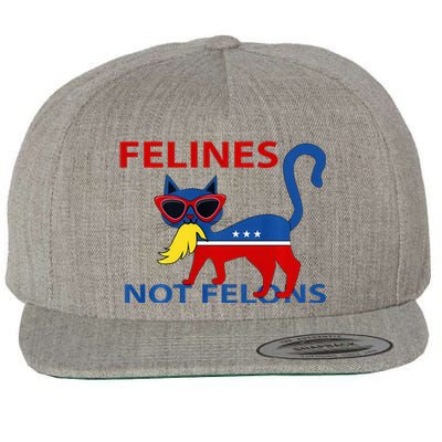 Felines Not Felons Kamala Cat Lady With Trump Hair Long Sleeve Wool Snapback Cap