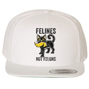 Felines Not Felons Anti Trump Cat Eating Trump Hair Wool Snapback Cap