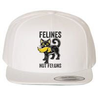 Felines Not Felons Anti Trump Cat Eating Trump Hair Wool Snapback Cap