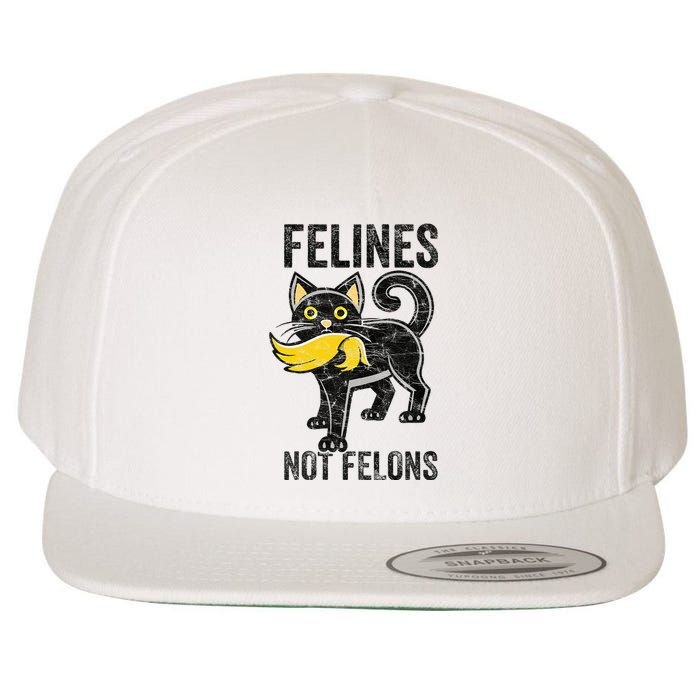 Felines Not Felons Anti Trump Cat Eating Trump Hair Wool Snapback Cap