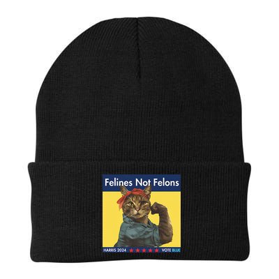 Felines Not Felons Childless Cat Lady Voting Kamala Harris Beanie