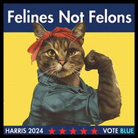 Felines Not Felons Childless Cat Lady Voting Kamala Harris Drawstring Bag