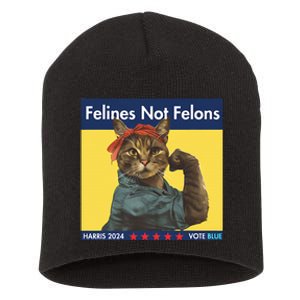 Felines Not Felons Childless Cat Lady Voting Kamala Harris Short Acrylic Beanie