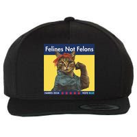 Felines Not Felons Childless Cat Lady Voting Kamala Harris Wool Snapback Cap