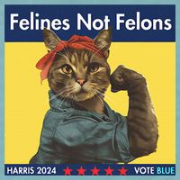 Felines Not Felons Childless Cat Lady Voting Kamala Harris Sueded Cloud Jersey T-Shirt