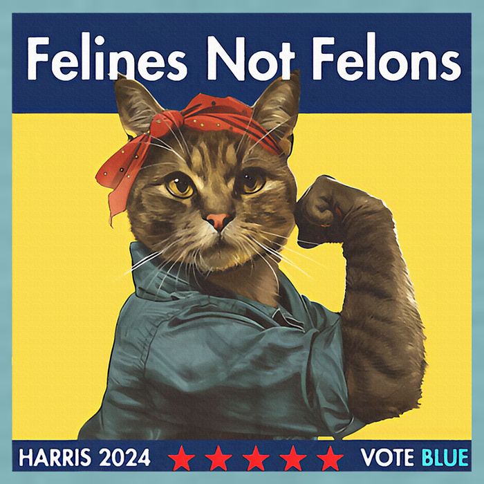 Felines Not Felons Childless Cat Lady Voting Kamala Harris Sueded Cloud Jersey T-Shirt