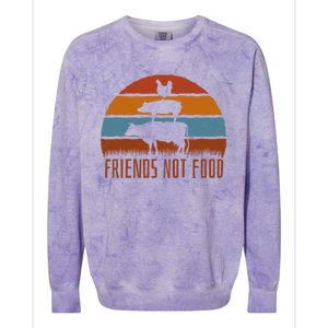 Friends Not Food Vegetarian Vegan Love Animals Sunset Meme Funny Gift Colorblast Crewneck Sweatshirt