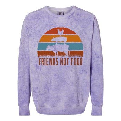 Friends Not Food Vegetarian Vegan Love Animals Sunset Meme Funny Gift Colorblast Crewneck Sweatshirt