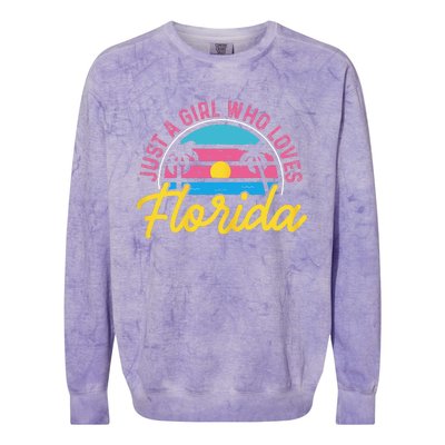 Floridian Native Florida Just A Who Loves Florida Colorblast Crewneck Sweatshirt