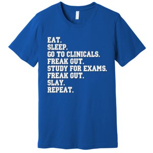 Funny Nurse Gift Eat Sleep Clinicals Freak Out Slay Rn Lpn Meaningful Gift Premium T-Shirt