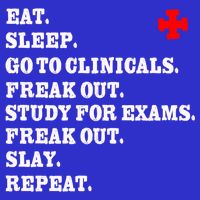 Funny Nurse Gift Slay Rn Lpn Clinicals Nursing School Gift T-Shirt