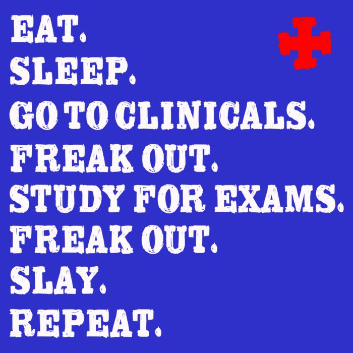 Funny Nurse Gift Slay Rn Lpn Clinicals Nursing School Gift T-Shirt