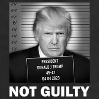Funny Not Guilty Trump Mug Shot 7 Panel Mesh Trucker Snapback Hat