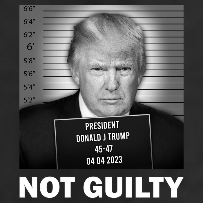 Funny Not Guilty Trump Mug Shot 7 Panel Mesh Trucker Snapback Hat