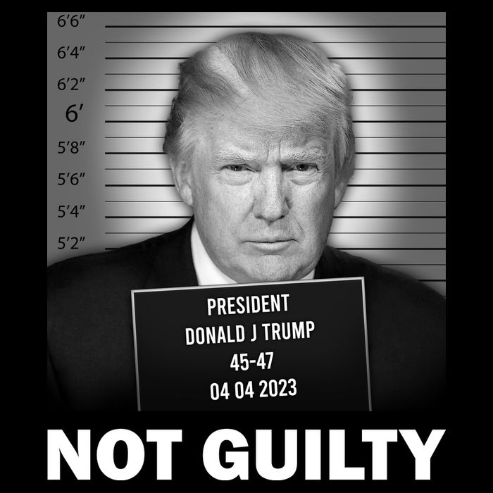 Funny Not Guilty Trump Mug Shot Backpack
