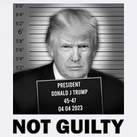 Funny Not Guilty Trump Mug Shot T-Shirt