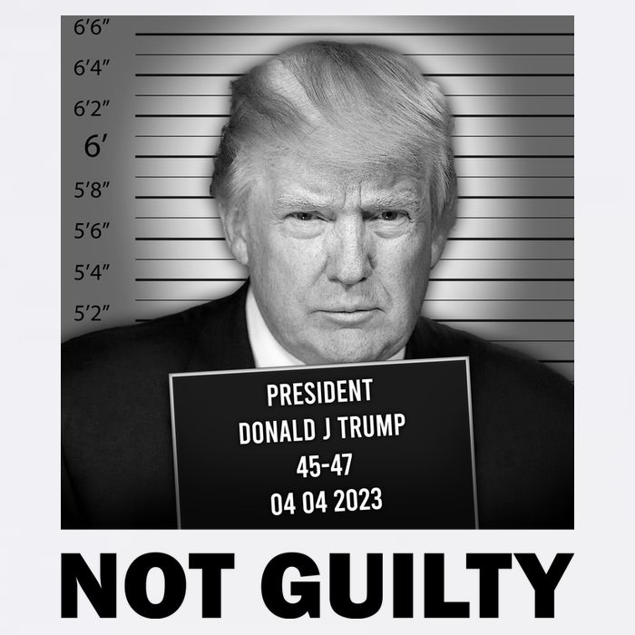 Funny Not Guilty Trump Mug Shot T-Shirt