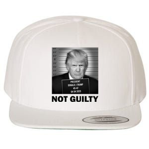 Funny Not Guilty Trump Mug Shot Wool Snapback Cap