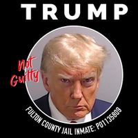 Funny Not Guilty Fulton County Jail Inmate P01135809 Mugshot Wool Snapback Cap
