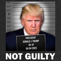 Funny Not Guilty Donald Trump Mug Shot Garment-Dyed Heavyweight T-Shirt
