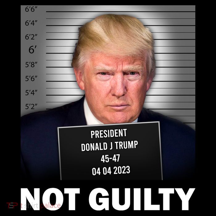 Funny Not Guilty Donald Trump Mug Shot Flatbill Hat