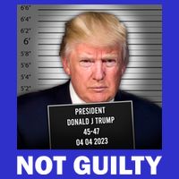 Funny Not Guilty Donald Trump Mug Shot Apron