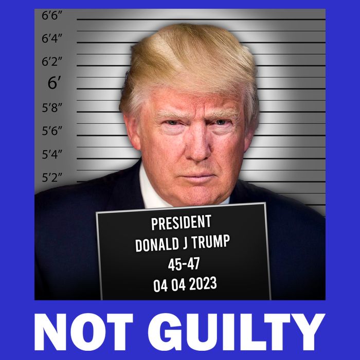 Funny Not Guilty Donald Trump Mug Shot Apron