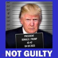 Funny Not Guilty Donald Trump Mug Shot Tall T-Shirt
