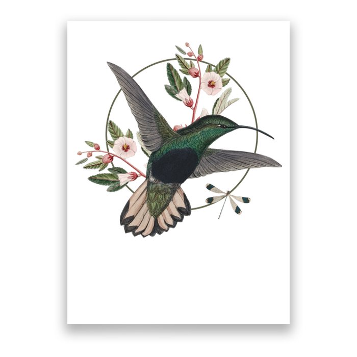 Floral Nature Hummingbird Poster