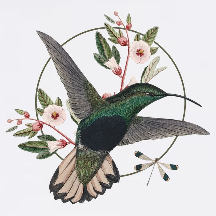 Floral Nature Hummingbird Toddler T-Shirt