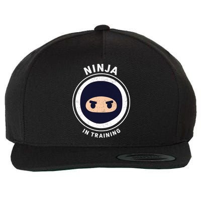 Funny Ninja In Training 1 Wool Snapback Cap