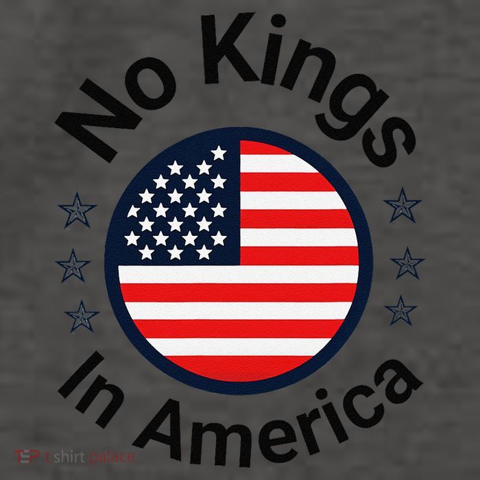 Funny No Kings In America Flag Protest Save Democracy Vector Backpack