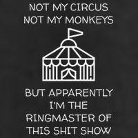 Funny Not My Circus Not My Monkeys Ringmaster Shitshow 7 Panel Mesh Trucker Snapback Hat