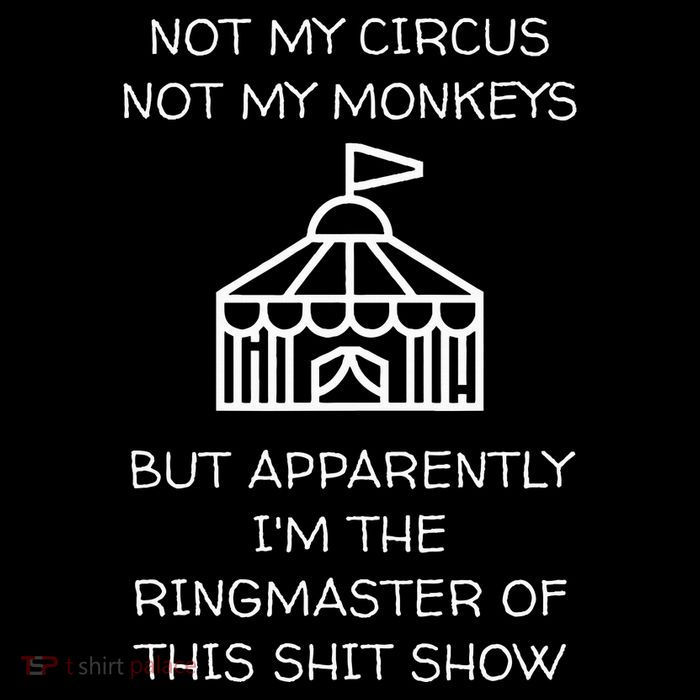 Funny Not My Circus Not My Monkeys Ringmaster Shitshow Hooded Wearable Blanket