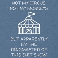 Funny Not My Circus Not My Monkeys Ringmaster Shitshow Garment-Dyed Sweatshirt