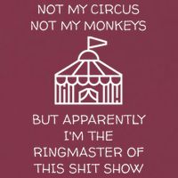 Funny Not My Circus Not My Monkeys Ringmaster Shitshow 16oz Travel Tumbler