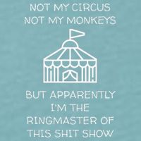 Funny Not My Circus Not My Monkeys Ringmaster Shitshow Sueded Cloud Jersey T-Shirt