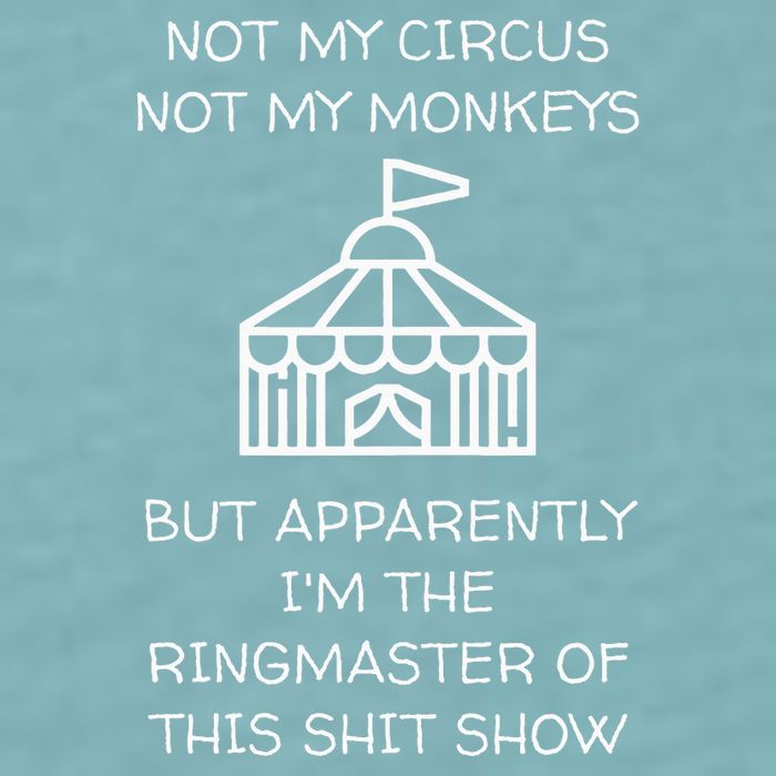 Funny Not My Circus Not My Monkeys Ringmaster Shitshow Sueded Cloud Jersey T-Shirt