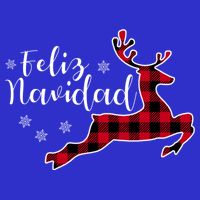 Feliz Navidad Matching Family Spanish Christmas Mexican Xmas Gift Visor