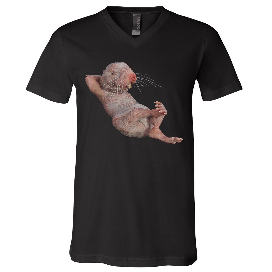 Funny Naked Mole Rat Zookeeper Safari Animal Lover Mole Rat V-Neck T-Shirt