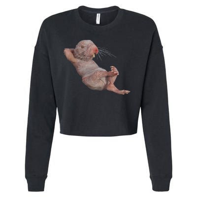 Funny Naked Mole Rat Zookeeper Safari Animal Lover Mole Rat Cropped Pullover Crew