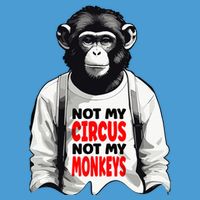 Funny Not My C.ircus Not My Monkeys Weird Fun Sayings Tie Dye Hoodie