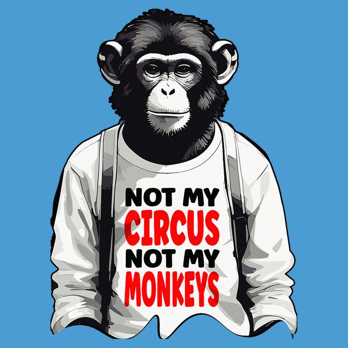 Funny Not My C.ircus Not My Monkeys Weird Fun Sayings Tie Dye Hoodie