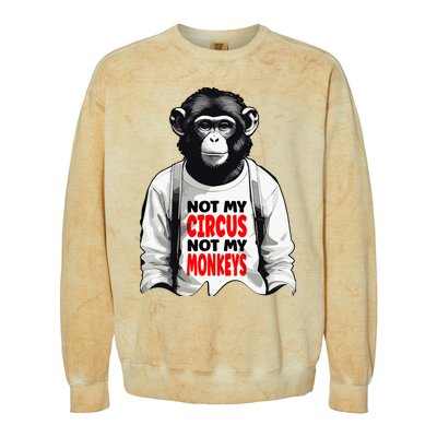 Funny Not My C.ircus Not My Monkeys Weird Fun Sayings Colorblast Crewneck Sweatshirt