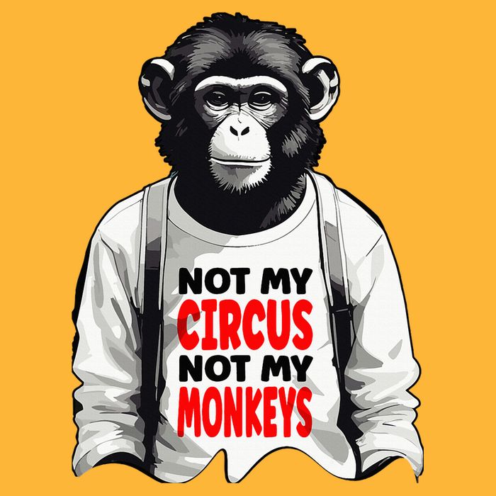 Funny Not My C.ircus Not My Monkeys Weird Fun Sayings Pom Pom 12in Knit Beanie