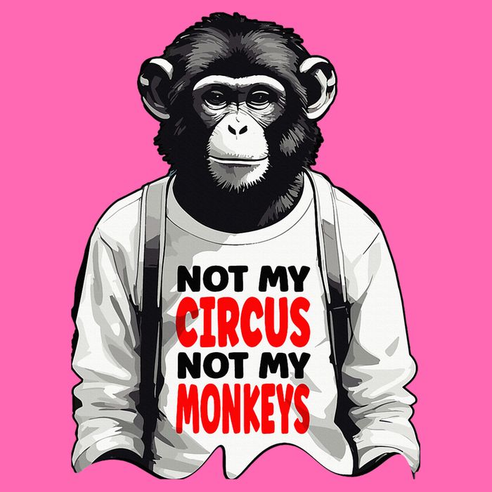 Funny Not My C.ircus Not My Monkeys Weird Fun Sayings Stripe Pom Pom Beanie